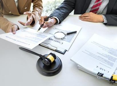 Legal Due Diligence/Legal Liasoning